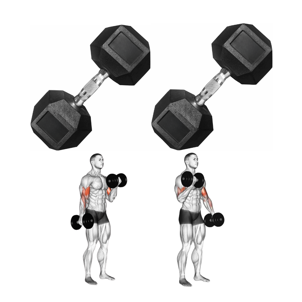 Par de Mancuernas Hexagonales IronFit 15 Lbs