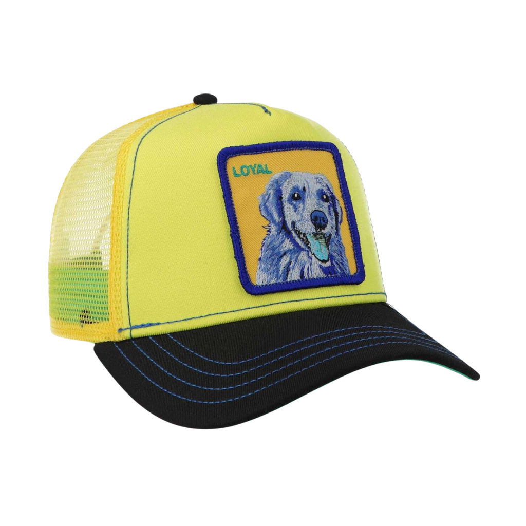 Gorra Goorin Bros Trip