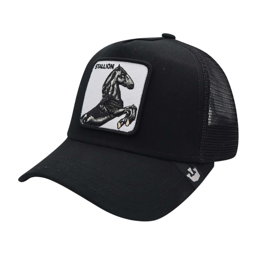 Gorra Goorin Bros The Stallion