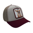 Gorra Goorin Bros Fierce Chihuaha