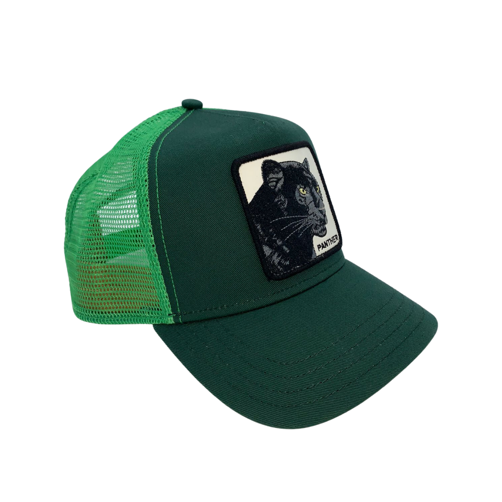 Gorra Goorin Bros The Panther