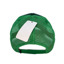 Gorra Goorin Bros The Panther