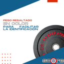 Par de bumpers hi-temp 45 libras Wod Pro