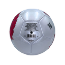 Balón de fútbol Voit Dragao S200 #5