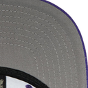 Gorra Mitchell & Ness LA Lakers Team Ground 2.0 visera plana