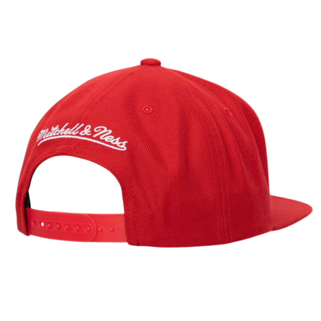 Gorra Mitchell & Ness Chicago Bulls Team Ground 2.0