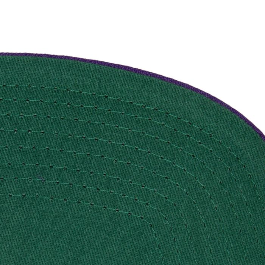 Gorra Mitchell & Ness LA Lakers Paintbrush