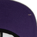 Gorra Mitchell & Ness LA Lakers Team Heather 2.0