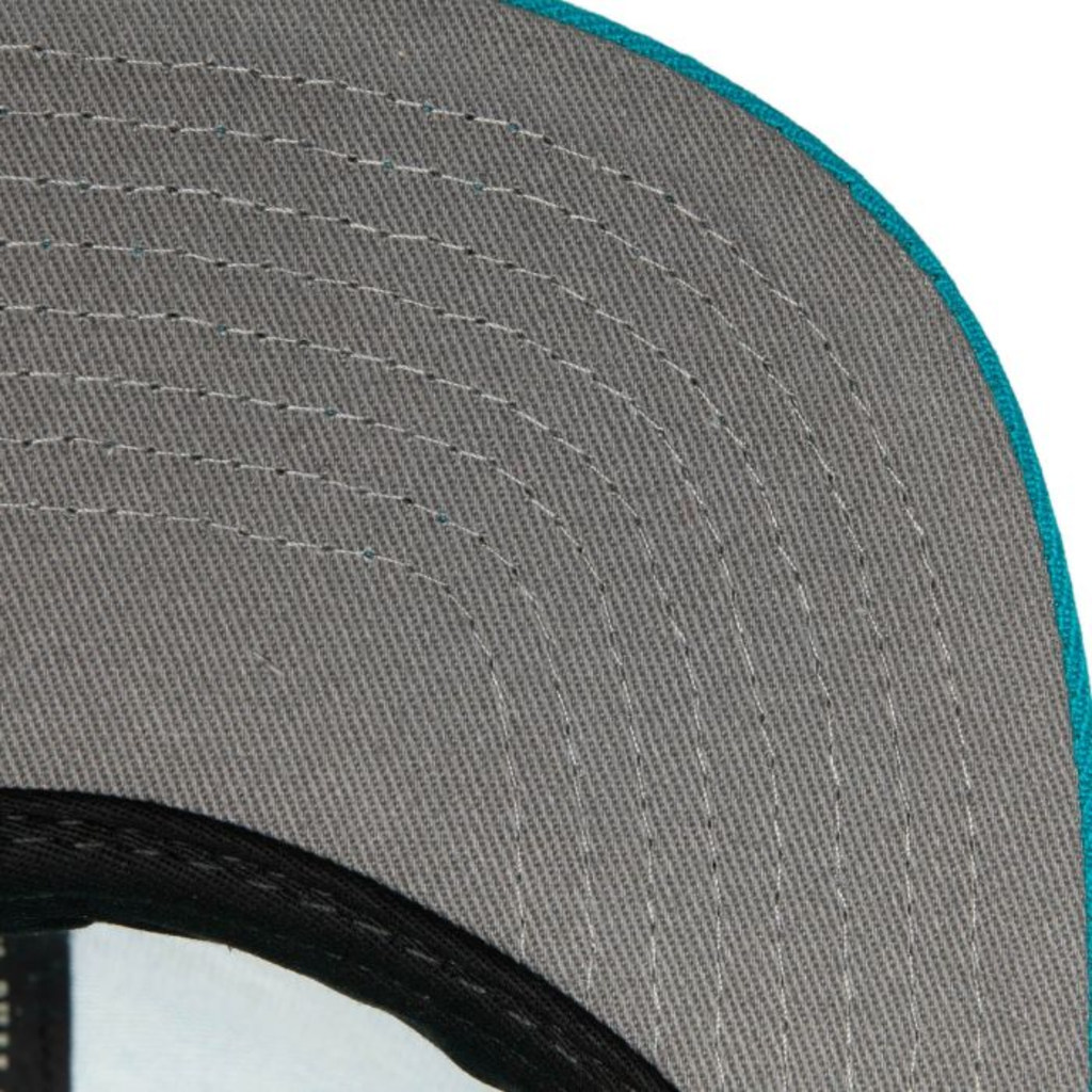 Gorra Mitchell & Ness Charlotte Hornets Team Ground 2.0