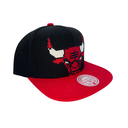Gorra Mitchell & Ness Chicago Bulls 8 Bit XL HWC