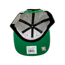 Gorra Mitchell & Ness Boston Celtics Team Heather 2.0