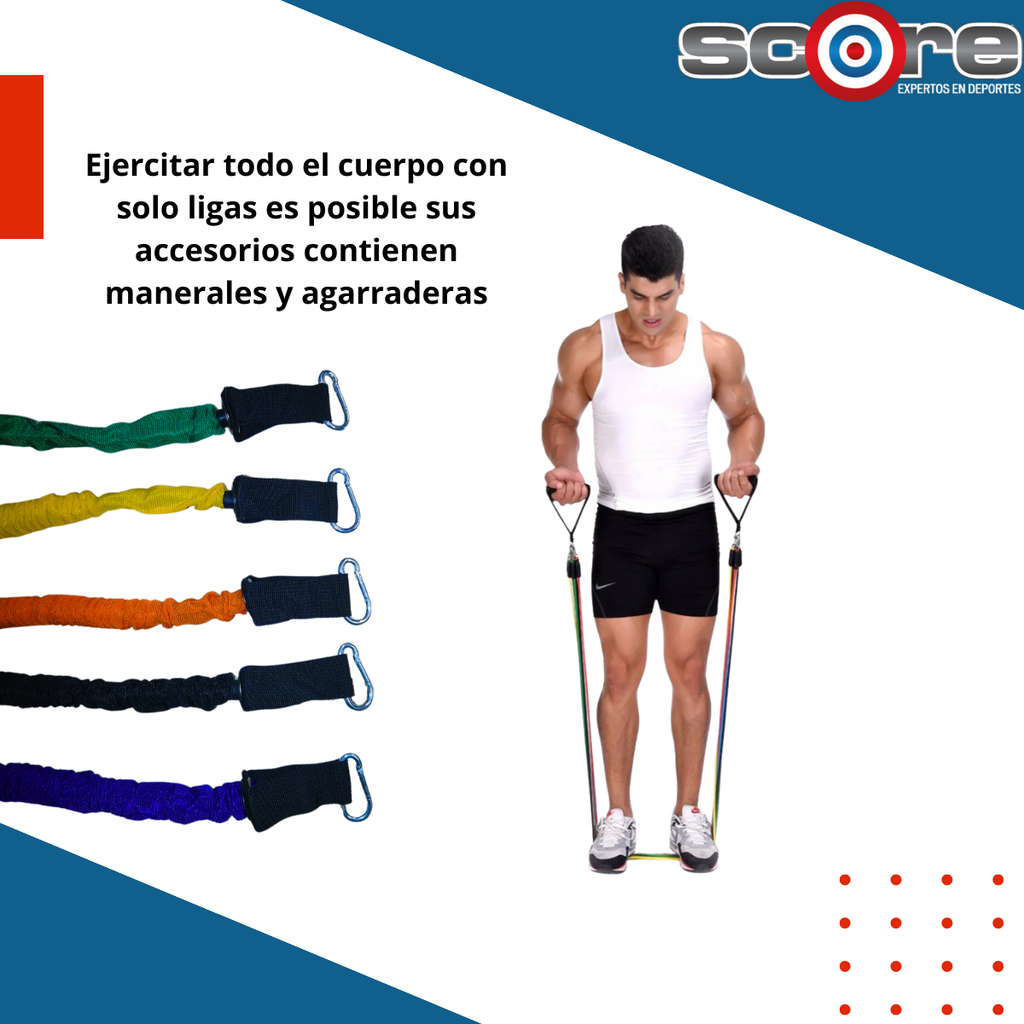 ​Set de 5 ligas de resistencia con agarradera Wod Pro