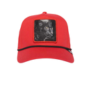 Gorra Goorin Bros The Panther 100