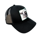 Gorra Goorin Bros The Cash Cow