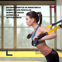 Banda de suspensión Wod Pro