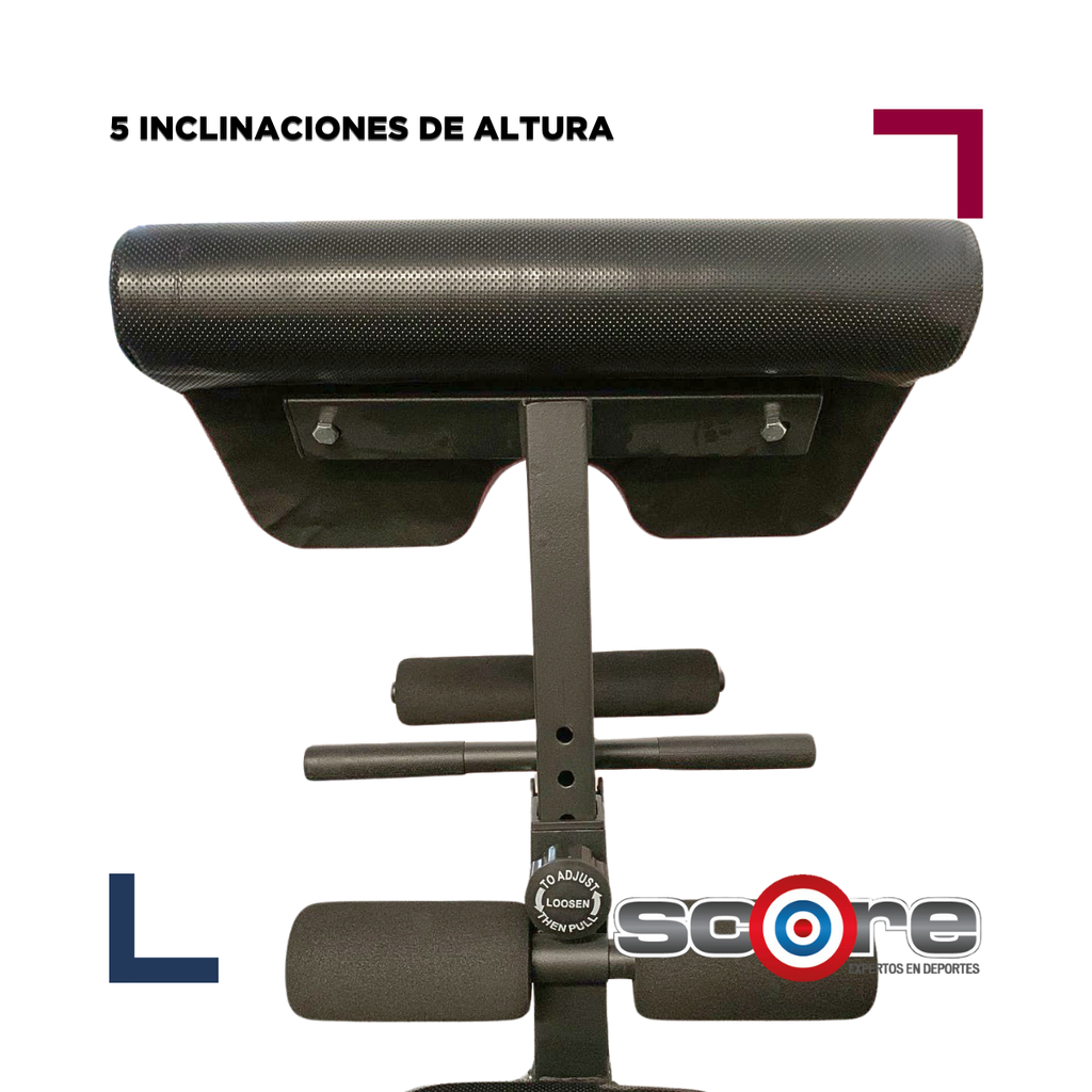 Banca multiposición con soporte para bíceps y pierna Wod Pro