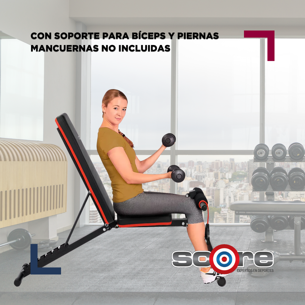 Banca multiposición con soporte para bíceps y pierna Wod Pro