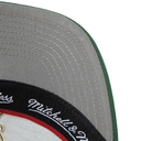 Gorra Mitchell & Ness Milwaukee Bucks Team Ground 2.0 visera curva