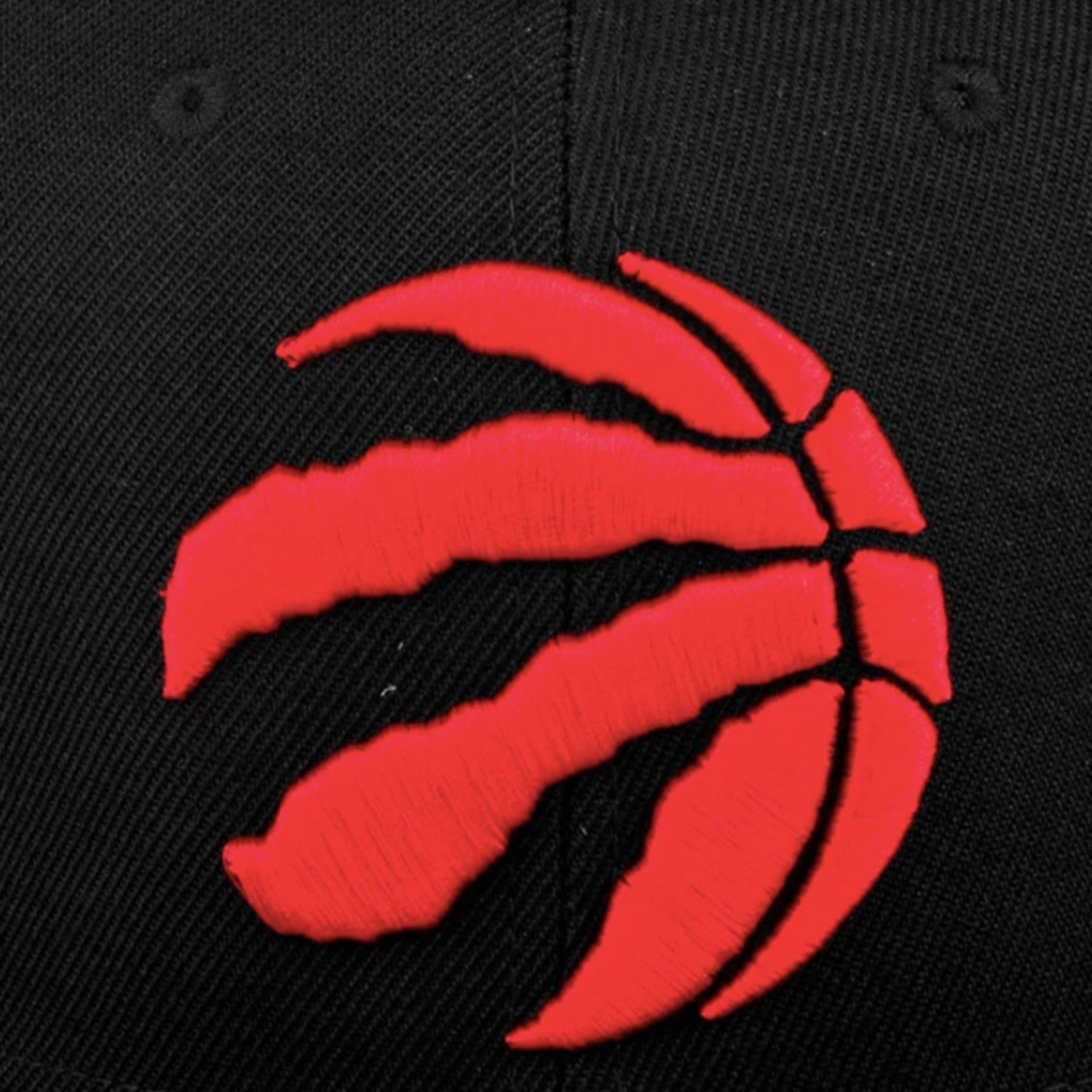 Gorra Mitchell & Ness NBA Team Ground 2.0 Toronto Raptors visera plana