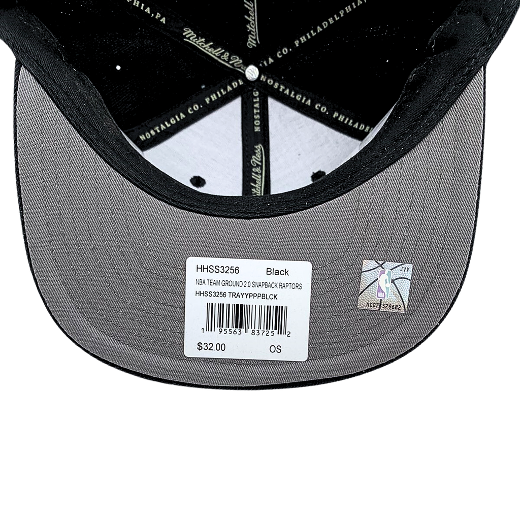 Gorra Mitchell & Ness NBA Team Ground 2.0 Toronto Raptors visera plana