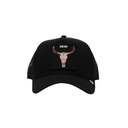 Gorra Goorin Bros The Dead Skull