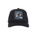 Gorra Goorin Bros The Killer Whale