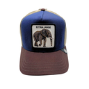 Gorra Goorin Bros Elephant White Patch