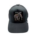 Gorra Goorin Bros The Extra Large Elephant