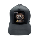 Gorra Goorin Bros The Faded Sloth