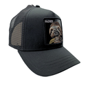 Gorra Goorin Bros The Faded Sloth