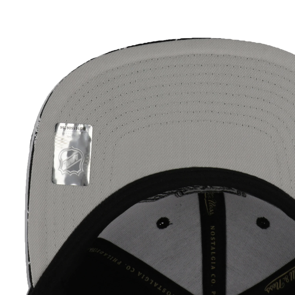 Gorra Mitchell & Ness NHL Storm Season VNTG Kings