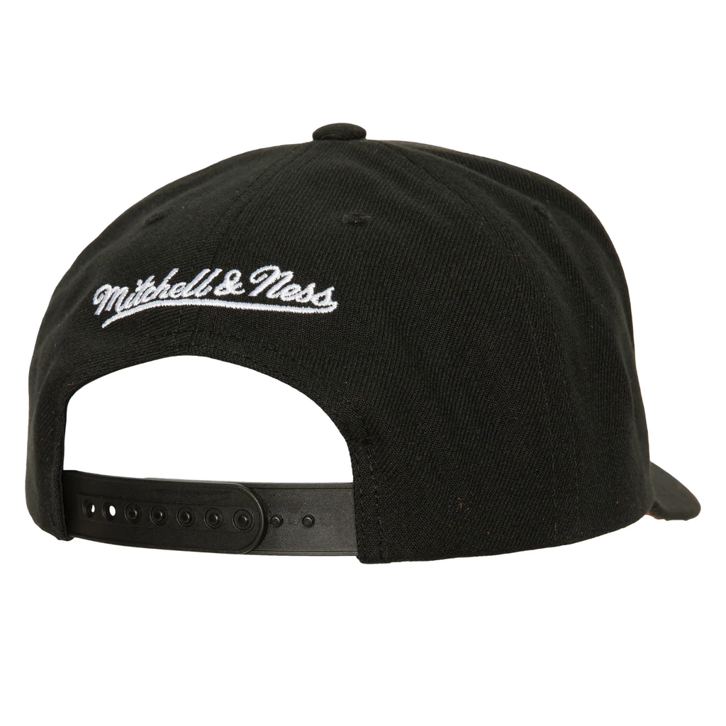 Gorra Mitchell & Ness NBA Icon Grail Pro Bulls