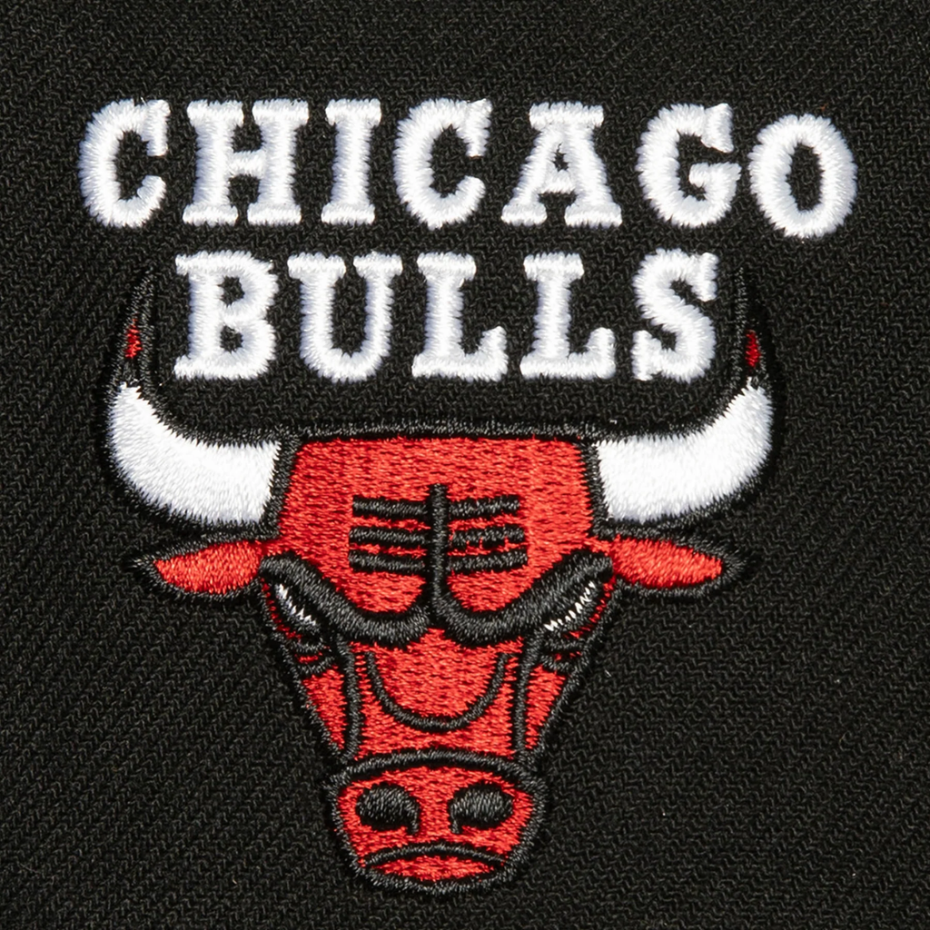 Gorra Mitchell & Ness NBA Icon Grail Pro Bulls