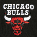 Gorra Mitchell & Ness NBA Icon Grail Pro Bulls