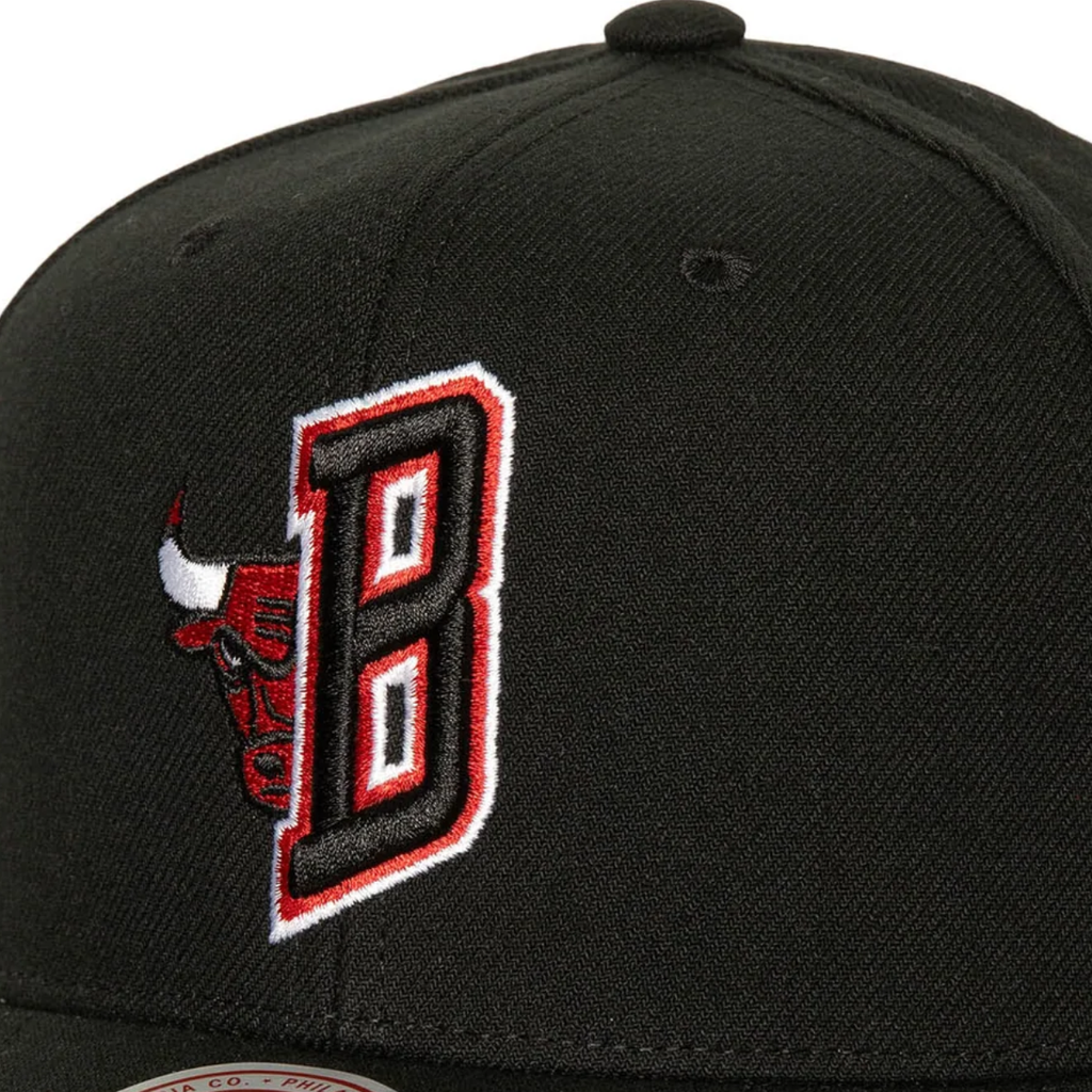 Gorra Mitchell & Ness NBA Icon Grail Pro Bulls