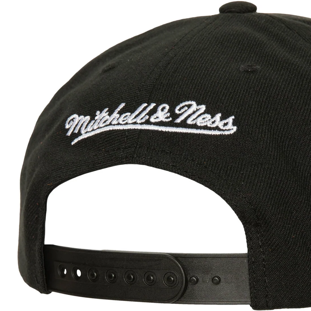 Gorra Mitchell & Ness NBA Icon Grail Pro Bulls
