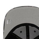 Gorra Mitchell & Ness NBA Storm Season Raptors