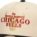 Gorra Mitchell & Ness NBA World Famous Pro Bulls