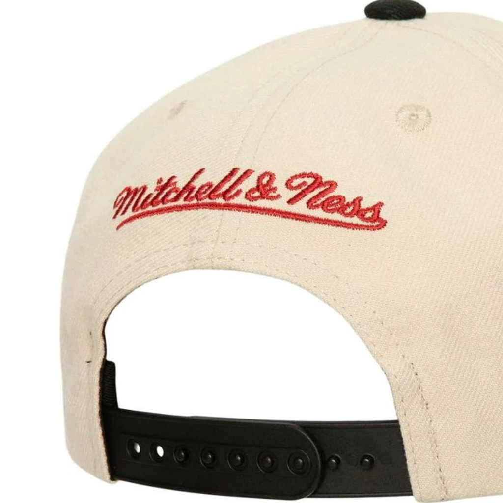 Gorra Mitchell & Ness NBA World Famous Pro Bulls