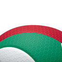 ​​​Balón de voleibol Molten V5M5000 Flistatec #5