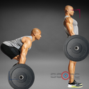 Par de Discos Bumper High Temp IronFit de 15 Lbs