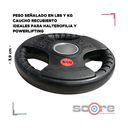 Par de Discos Recubiertos 2" IronFit de 5 kg