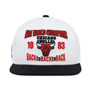Gorra Mitchell & Ness NBA Bulls Back to Back '93