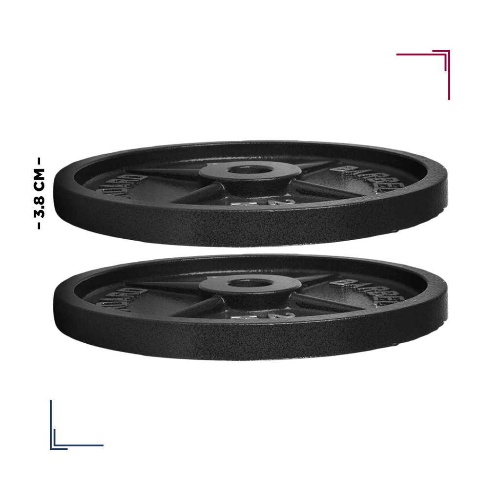 Par de Discos de Acero IronFit 20 kg