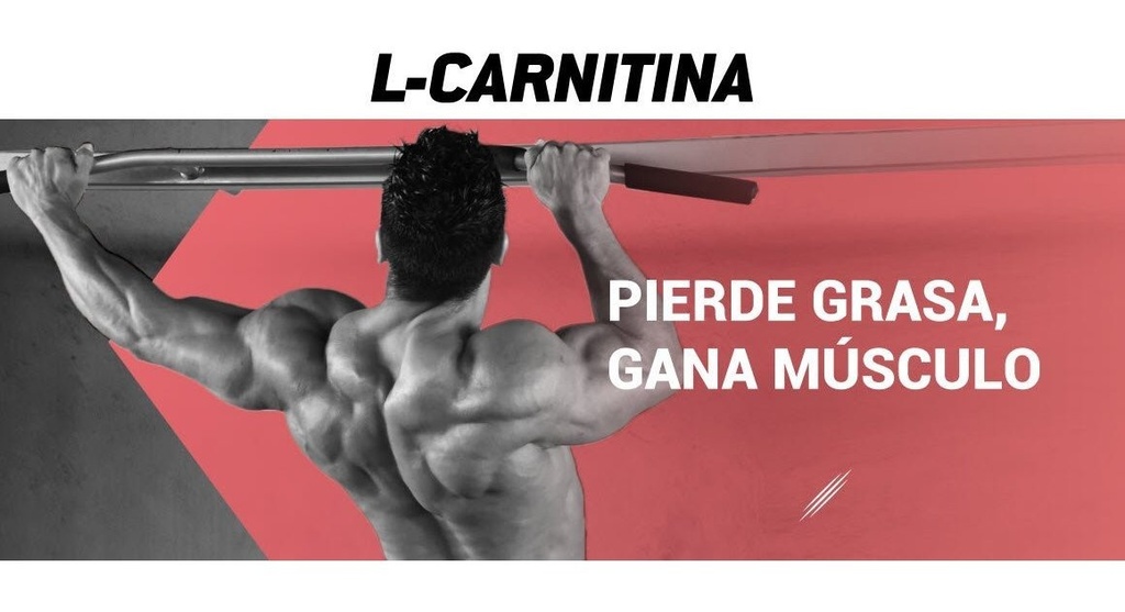 L-Carnitina Cápsulas MDN Sports