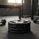 Par de Discos de Acero IronFit 10kg 2"