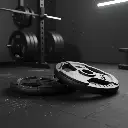 Par de Discos de Acero IronFit 10kg 2"