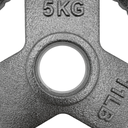 Par de Discos de Acero IronFit 5kg 2"