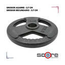 Par de Discos de Acero IronFit 10kg 2"