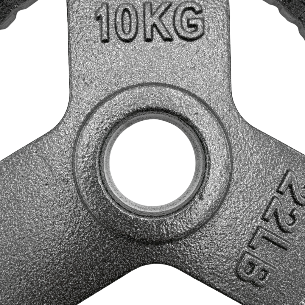 Par de Discos de Acero IronFit 10kg 2"